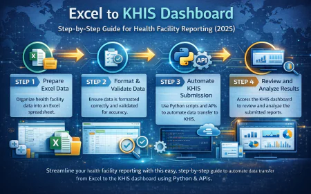 Excel to KHIS Dashboard: Step-by-Step Guide for Health Facility Reporting (2025)